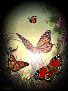 Animal Screensavers 0006